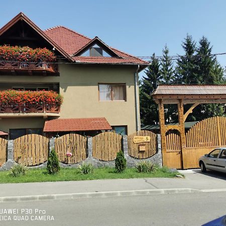 Hotel Sepsi Relax Sfântu-Gheorghe Exteriér fotografie