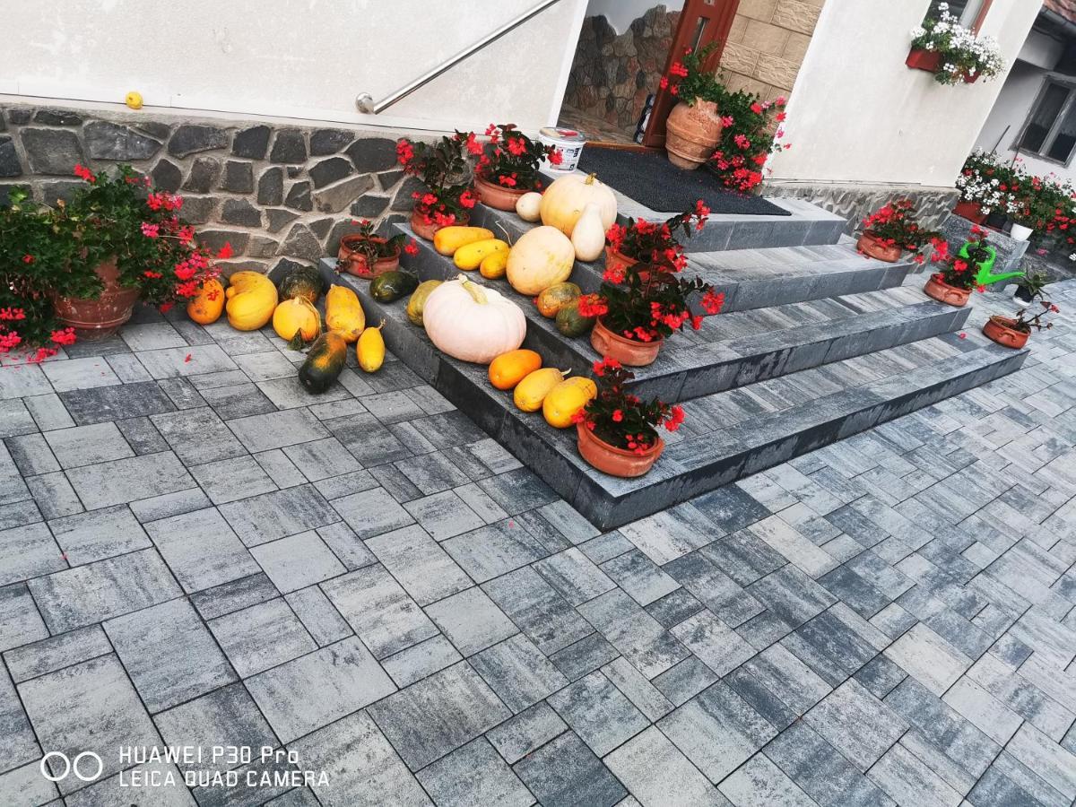 Hotel Sepsi Relax Sfântu-Gheorghe Exteriér fotografie