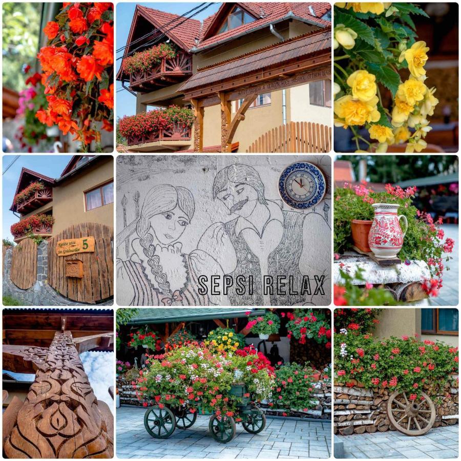 Hotel Sepsi Relax Sfântu-Gheorghe Exteriér fotografie