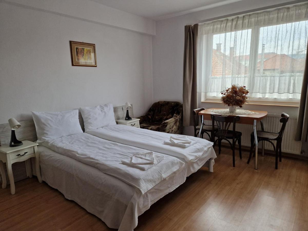 Hotel Sepsi Relax Sfântu-Gheorghe Exteriér fotografie