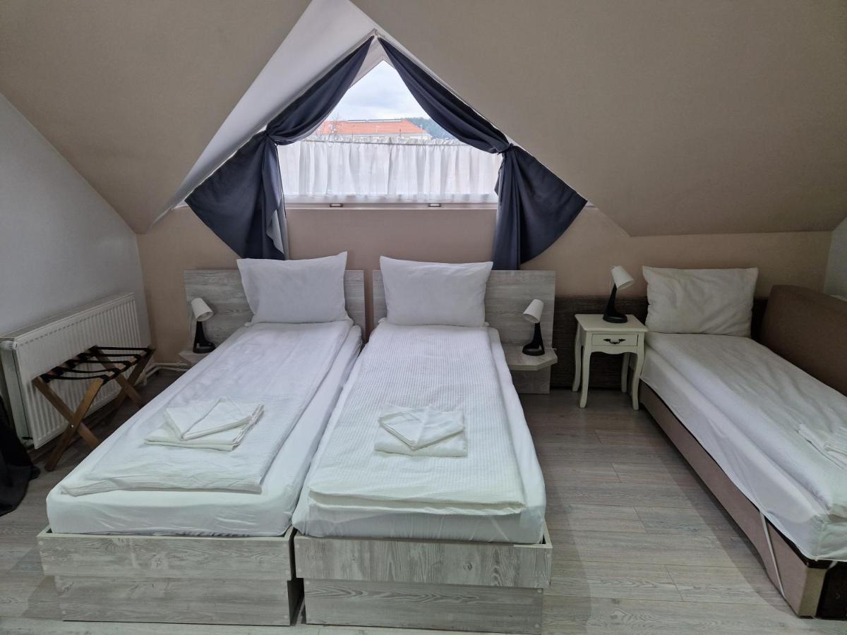 Hotel Sepsi Relax Sfântu-Gheorghe Exteriér fotografie