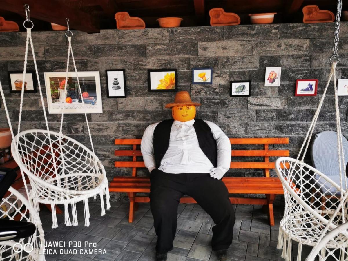 Hotel Sepsi Relax Sfântu-Gheorghe Exteriér fotografie